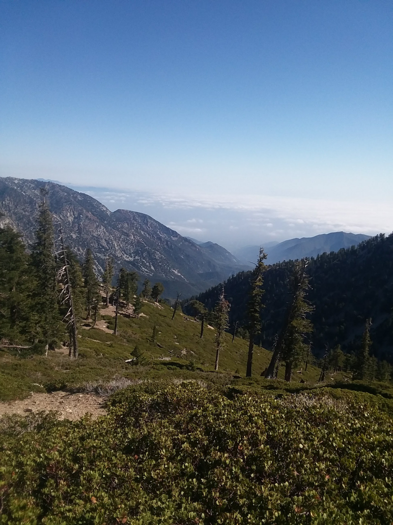 Heading back down was a steep descent. It was the same elevation change in half the distance! Very pretty though at least.